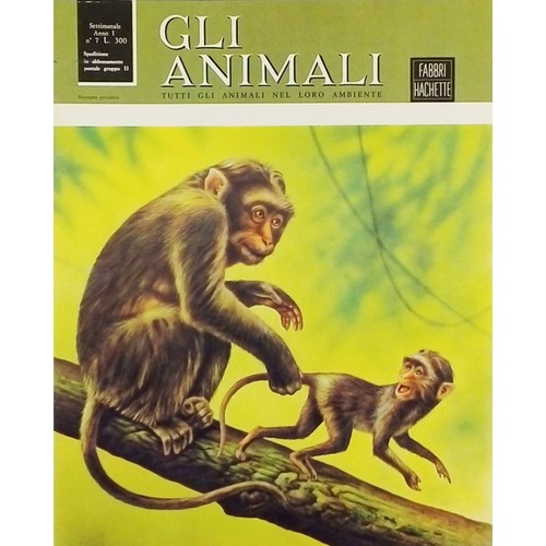 Enciclopedia gli animali - animali, anno