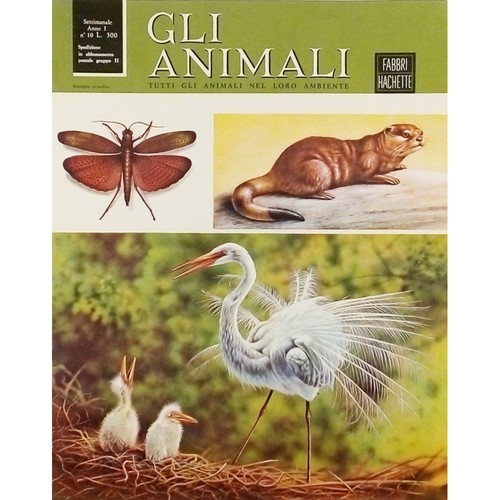 Enciclopedia gli animali anno - enciclopedia,