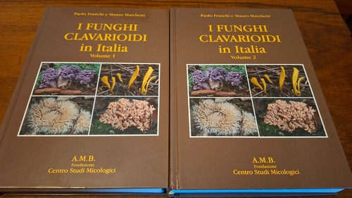 Funghi clavarioidi in - funghi,