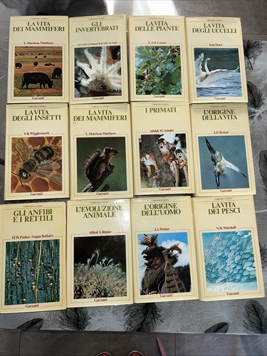 Enciclopedia libri della - enciclopedia,